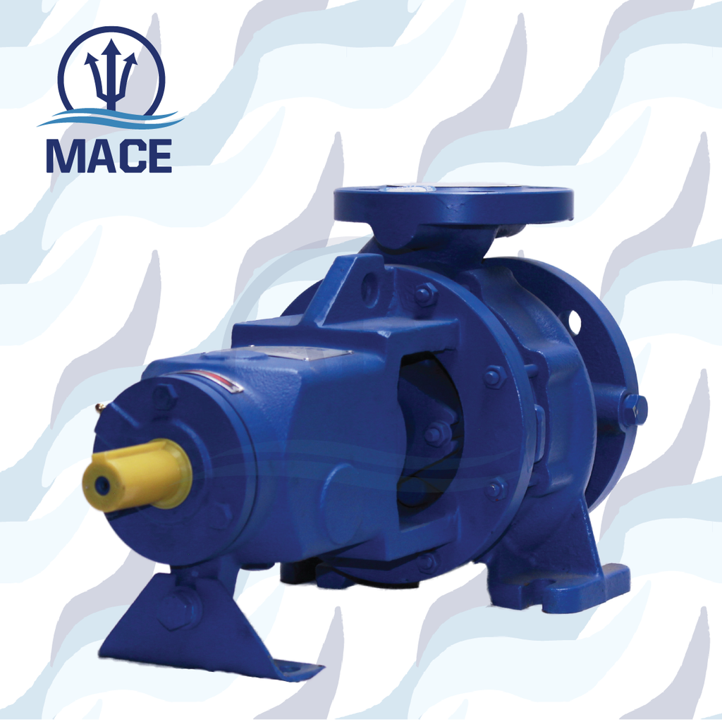 DIN End Suction Pump: Model EA 40/13